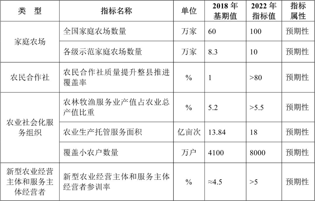 大池农场未来发展规划概览