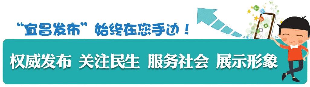 湖北省宜昌市西陵区最新招聘信息汇总